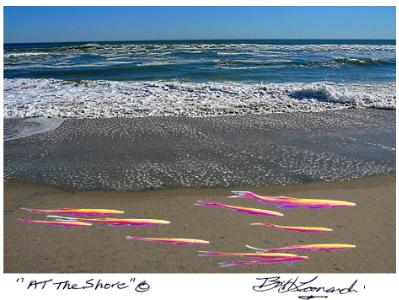 At The Shore At The Shore
