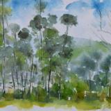 View of a forest, 30cm x 40cm, 2015