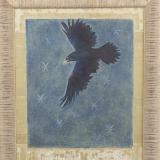 Raven at Night