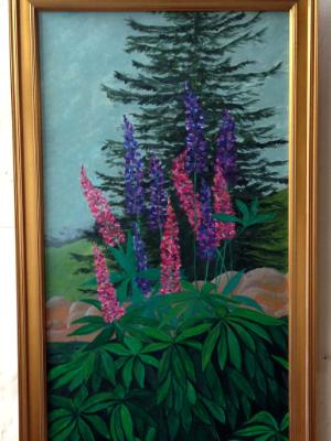 Colebrook Lupines Colebrook Lupines