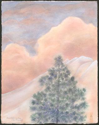 Cloud, Mountain, Pine