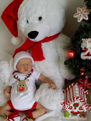 Christmas 2016  Show entry:     Ivy (R.D)