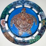 Spirit of the Sea Turtle