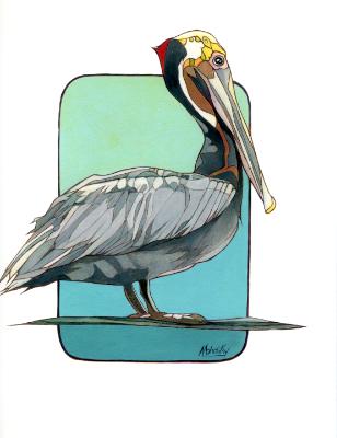 Pelican Pelican