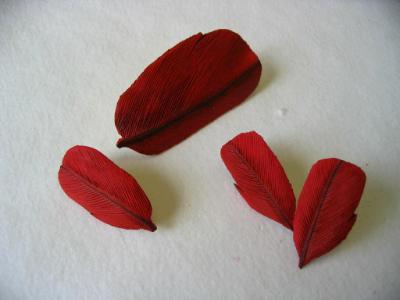 CARDINAL CARDINAL