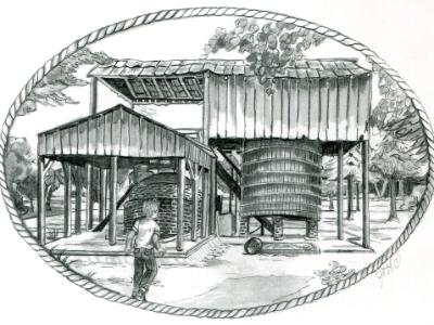 Florida Quest Illustration Florida Quest Illustration