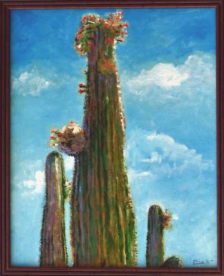 Saguaro Blossoms