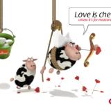 Mozzarella: Love is Cheesy
