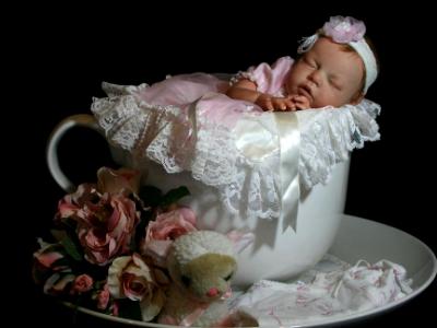 Reborn baby girl ~ 20" Teacup baby ~ ADOPTED/SOLD