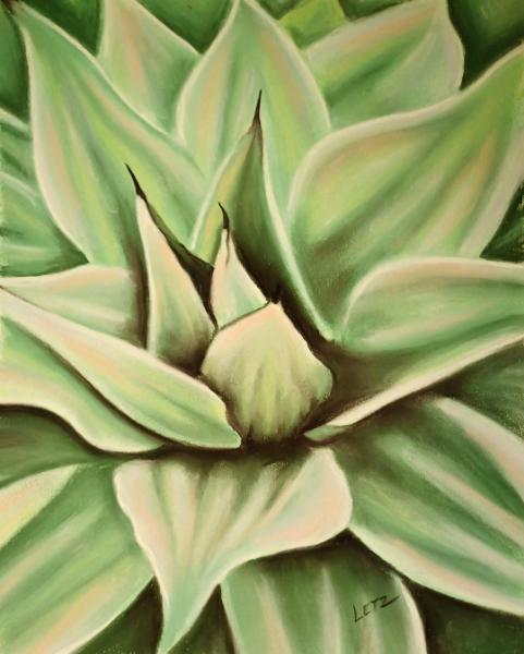 "Cool Green Agave"