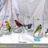 Set of handpainted glasses: BIRDS OF AUSTRALIA