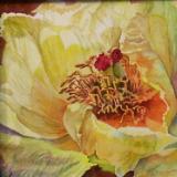 Gold Peony I