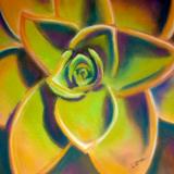 "Succulent Orange & Green"