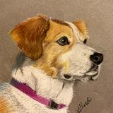 Penny