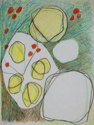 Seeds Pods Seeds Pods