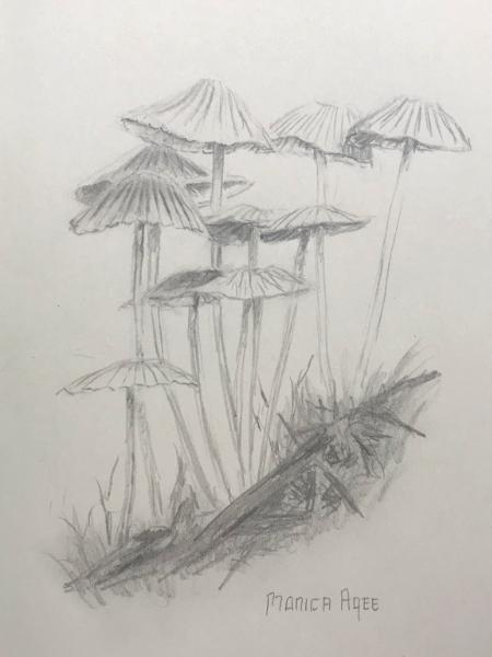 Mushrooms