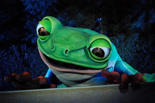 Steve Wynn's Singing Frog