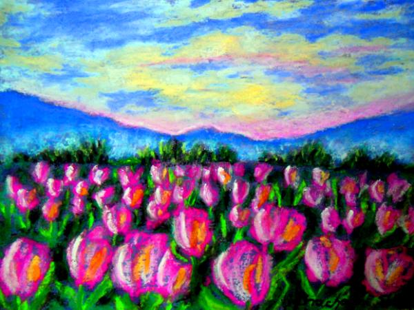 Skagit's Tulips 2