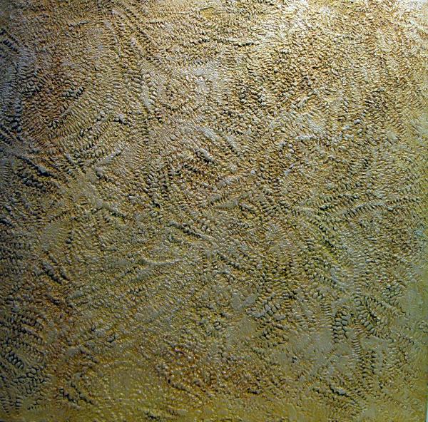 Fossilized stone