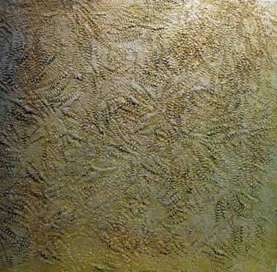 Fossilized stone Fossilized stone