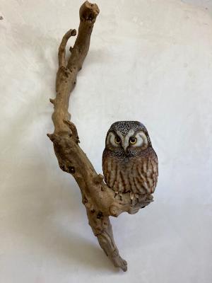 Life size Boreal Owl