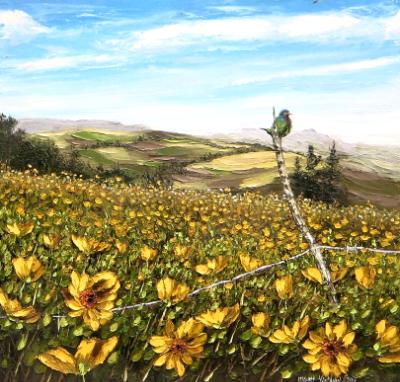Flowers field, 60cm x 60cm, 2012 Flowers field, 60cm x 60cm, 2012