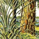 Commission for Sand Pine Nature Center