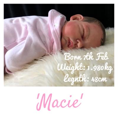 Reborn Baby Girl ~Macie ~ ADOPTED/SOLD (layby)