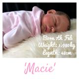 Reborn Baby Girl ~Macie ~ ADOPTED/SOLD (layby)