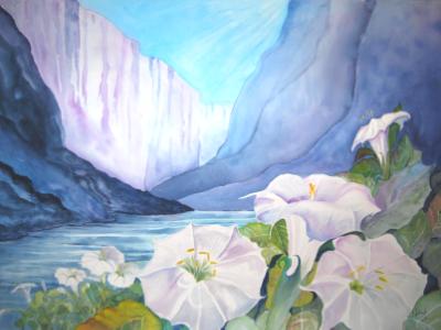 Sacred Datura, Grand Canyon Sacred Datura, Grand Canyon