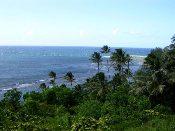 Above Ke'e beach