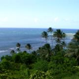Above Ke'e beach Above Ke'e beach