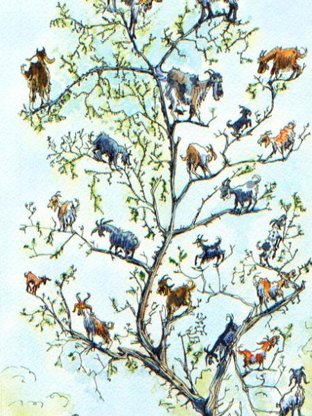 The Goat Tree
