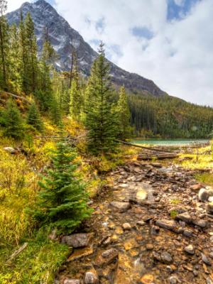 Mountain Stream below Vista Lake Mountain Stream below Vista Lake