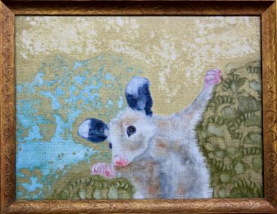 Joyous Possum Joyous Possum
