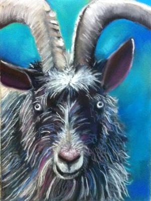 Crazy Eyes - private collection Crazy Eyes - private collection