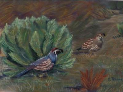 Quail Couple