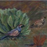 Quail Couple