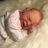 Reborn Preemie Girl ~ Day old Crier ~ ADOPTED/SOLD