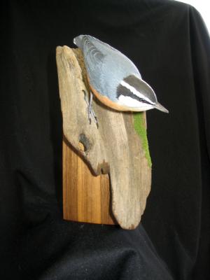 Red Breasted Nuthatch - sold