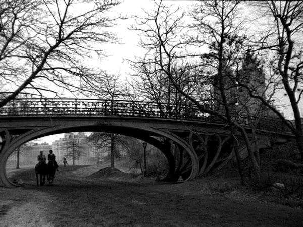 Bridle Path Central Park by Arthur Lavine