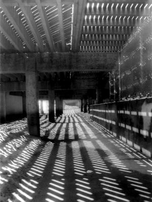 Under the Boardwalk Under the Boardwalk
