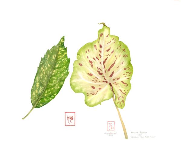 Two Leaves