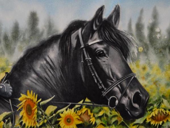 The beauty of the Friesian Horse, 38cm X 56cm, 2020