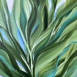 Splendor in the Grass