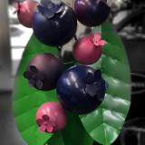 Custom Blueberry 
