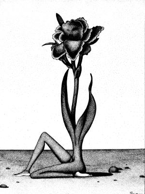 Sitting Flower Sitting Flower