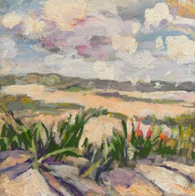 Sullivan's Island  Dunes 1