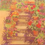 #108 Potted flowers on stairs