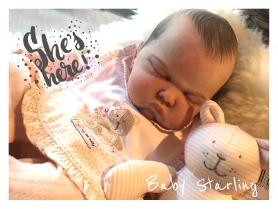 Reborn Baby ~ Starling ~ ADOPTED/SOLD